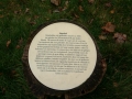 2004-11-08 Aalden 007
