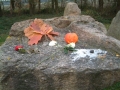 2004-11-08 Aalden 008