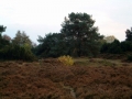 2004-11-08 Aalden 013