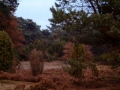 2004-11-08 Aalden 015