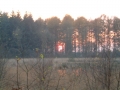 2004-11-08 Aalden 020