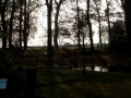 2004-11-09 Aalden 004