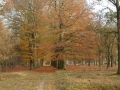 2004-11-09 Aalden 007