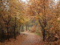 2004-11-10 Aalden 003
