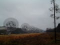 2004-11-10 Aalden 005