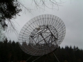 2004-11-10 Aalden 006