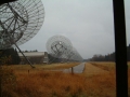 2004-11-10 Aalden 007