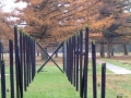 2004-11-10 Aalden 020