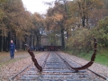 2004-11-10 Aalden 026