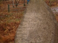 2004-11-10 Aalden 038
