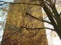 2004-11-11 Aalden 003