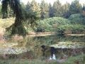 2004-11-11 Aalden 018