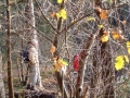 2004-11-11 Aalden 020