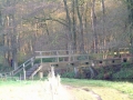 2004-11-11 Aalden 022