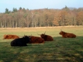 2004-11-11 Aalden 024