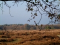 2004-11-11 Aalden 029