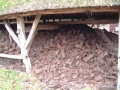 2004-11-11 Aalden 035