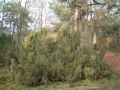 2004-11-11 Aalden 049