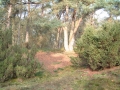 2004-11-11 Aalden 050