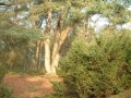 2004-11-11 Aalden 051