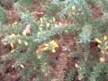20047-12-08 Uden 004