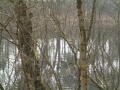 2005-03-16 Vught 002