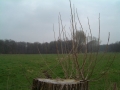 2005-03-30 Drunen 003