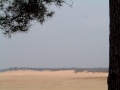 2005-03-30 Drunen 012