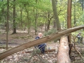 2005-05-11 Wouwse Plantage 003