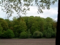 2005-05-11 Wouwse Plantage 006