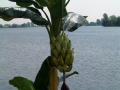 2005-05-25 Megen 003