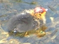 2005-05-25 Megen 005
