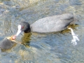 2005-05-25 Megen 006