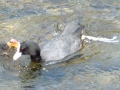 2005-05-25 Megen 008