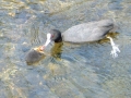 2005-05-25 Megen 011