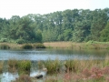 2005-08-03 Wijchen 003