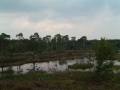 2005-08-03 Wijchen 005