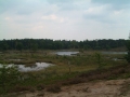 2005-08-03 Wijchen 007