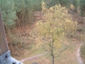 2005-11-10 Loo 016