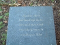 2006-01-04 Riel 002