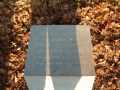 2006-01-04 Riel 010