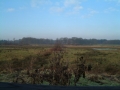 2006-01-04 Riel 014