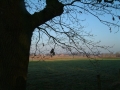 2006-01-04 Riel 018