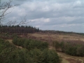 2006-03-29 Rhenen 003