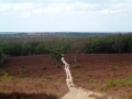 2006-03-29 Rhenen 005