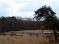 2006-04-12 Rosmalen 002