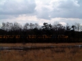 2006-04-12 Rosmalen 003