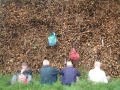 2006-05-24 Hoornaar 001