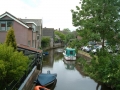 2006-05-24 Hoornaar 007