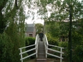 2006-05-24 Hoornaar 009
